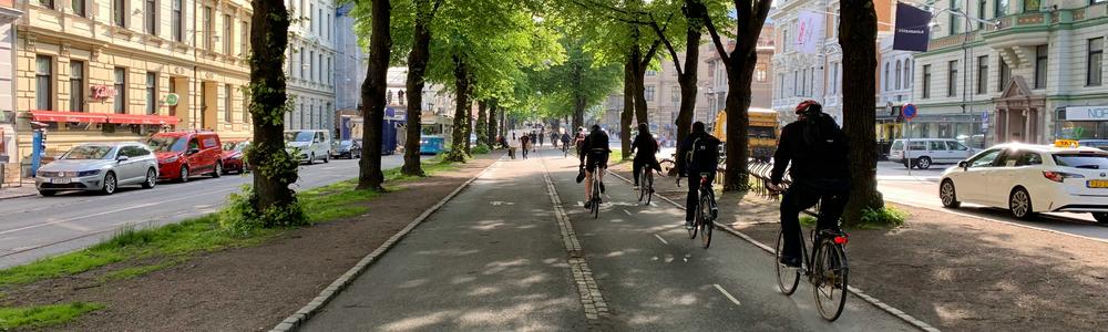 Flygande maskrosfrön