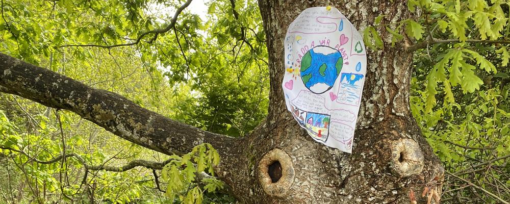 Poster på träd med texten Rädda vår planet 