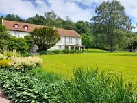 Lilla Änggården ett grönskande område 